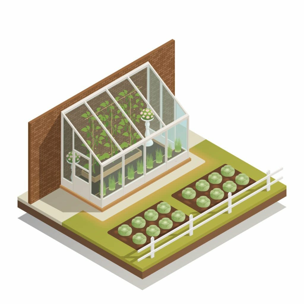 Lean to Greenhouse: How To Build A Greenhouse On A Budget - Eco Home Zone