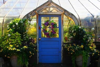 Greenhouse doors