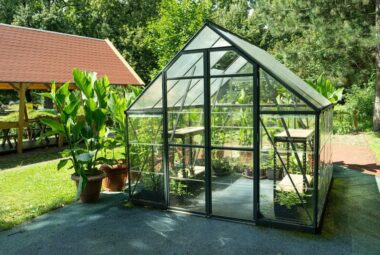 8x8 greenhouse