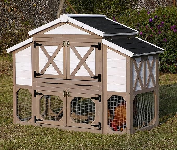 Chicken Coop Greenhouse Guide: Build One In 8 Easy Steps - Eco Home Zone