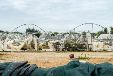 wind resistant greenhouse