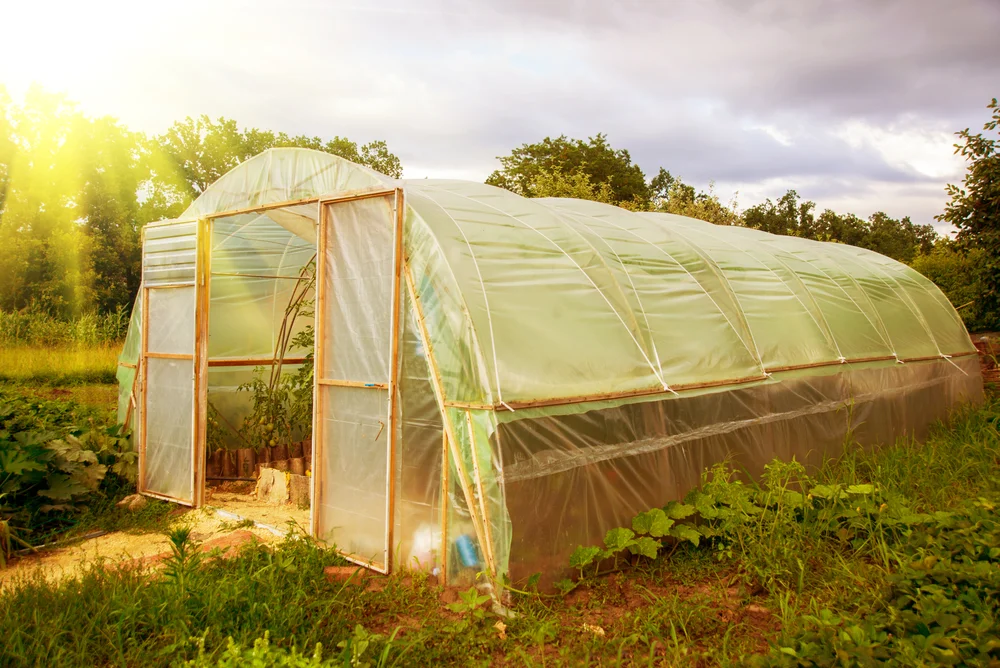 how does a greenhouse cost